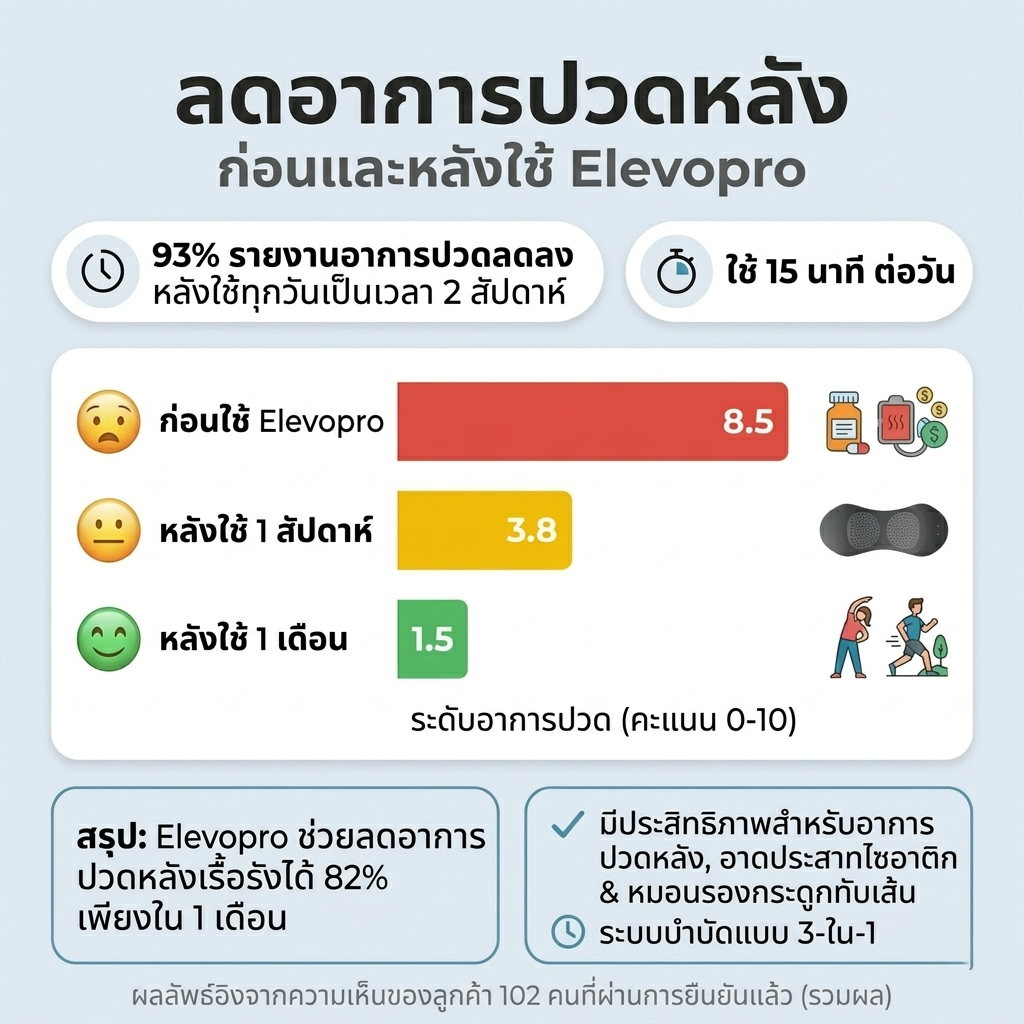 Elevopro หมอนบำบัดหลัง 3-in-1